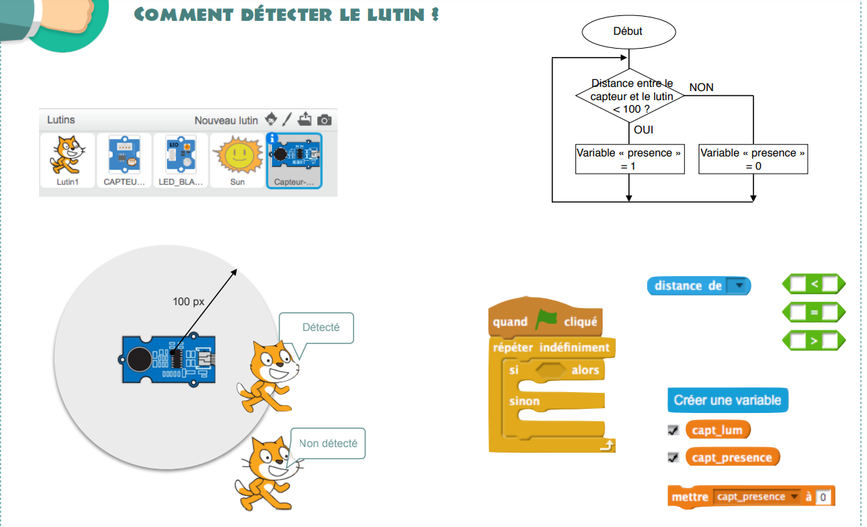 Zone de detection